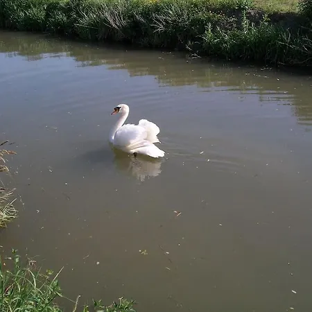 Vakantiehuis Le Du Doulac *